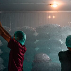 Satria Es Kristal Purwokerto